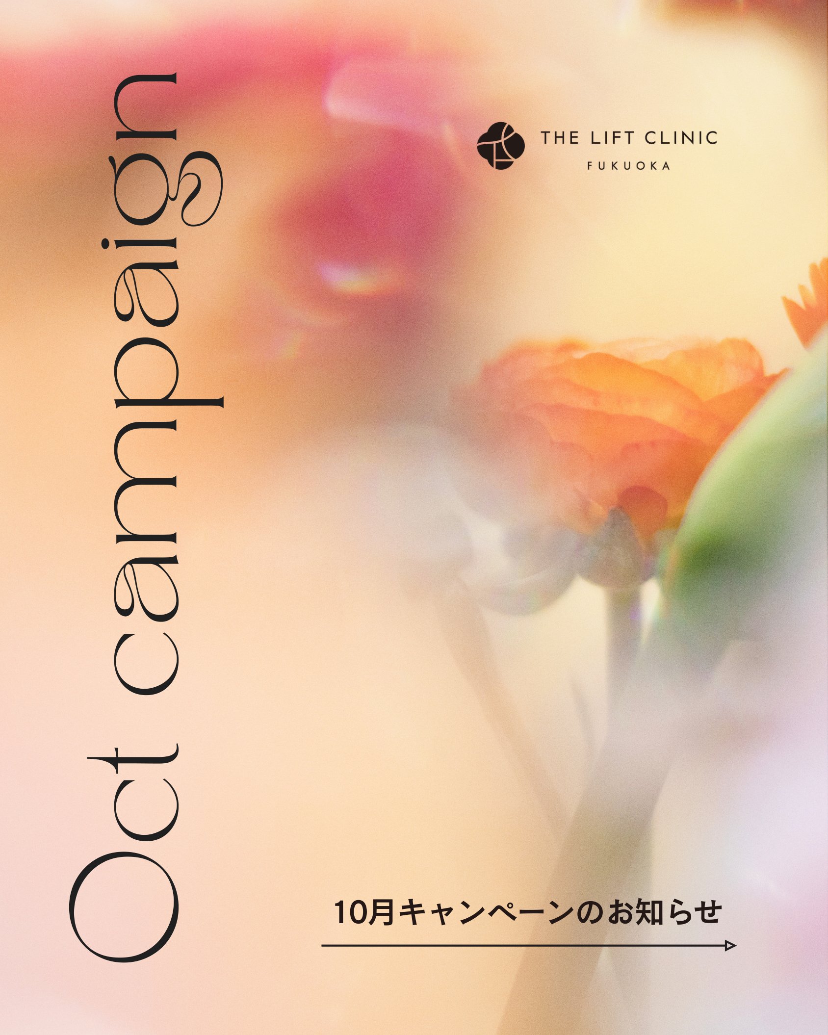 10月キャンペーンのお知らせ
